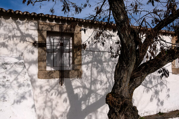 Ermida de Nossa Senhora da Graça em Nisa - Foto 1