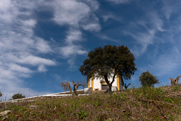 Ermida de Nossa Senhora da Graça em Nisa - Foto 4
