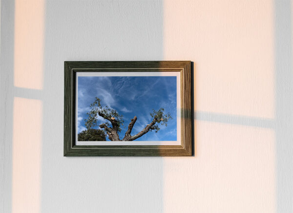 Ermida de Nossa Senhora da Graça em Nisa - Foto 5