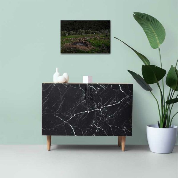 Oliveiras Alentejo quadro