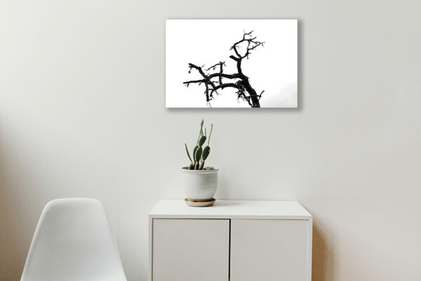 decoração-árvore-ramificações