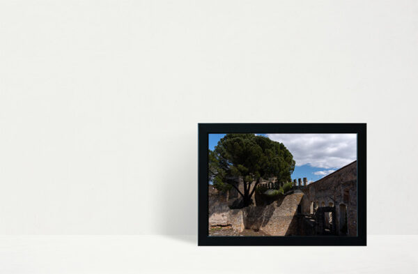 Convento de Cristo - Foto 20