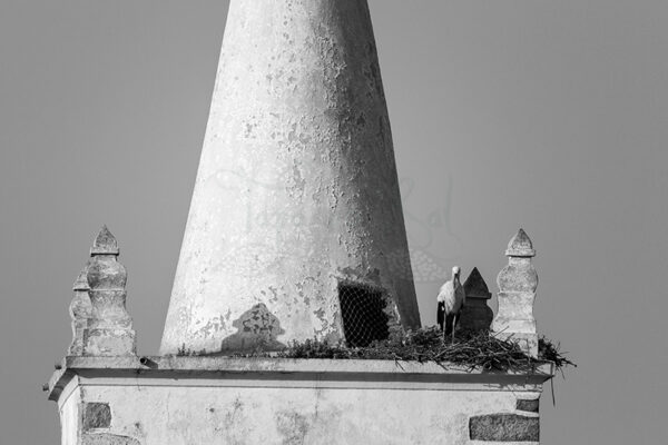 Montalvão - Foto 14