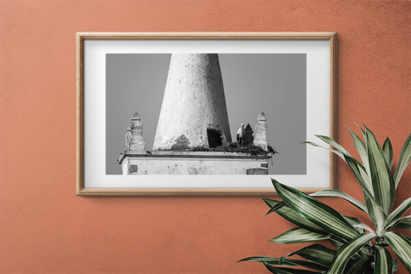 Montalvão - Foto 14