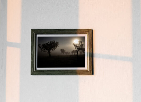 Montalvão - Foto 16