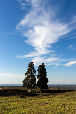 Montalvão - Foto 19