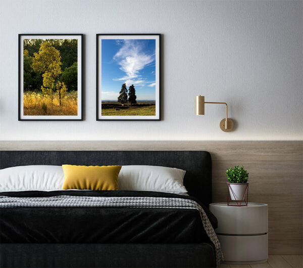 Montalvão - Foto 19