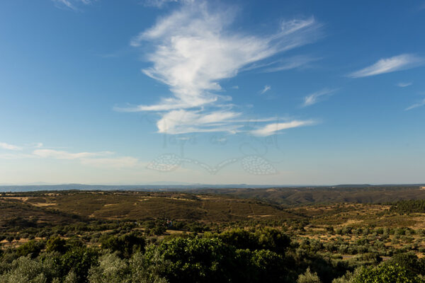 Montalvão - Foto 20