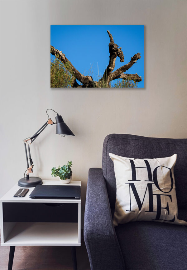 Montalvão - Foto 21