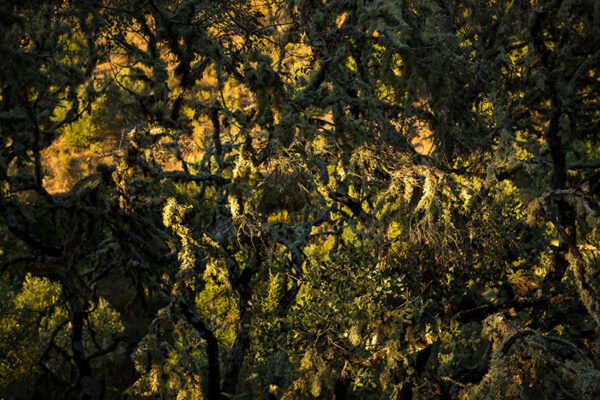 Montalvão - Foto 22