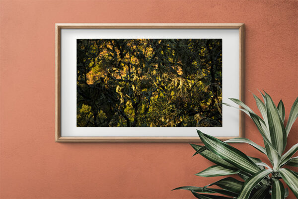 Montalvão - Foto 22