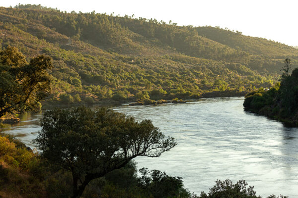 Montalvão - Foto 26