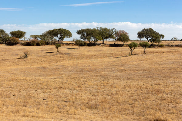 Montalvão - Foto 27