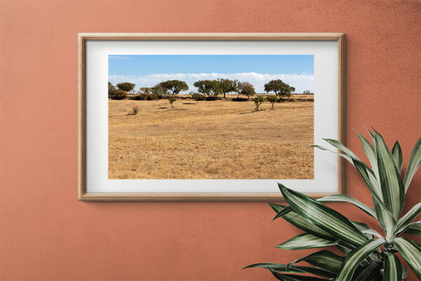 Montalvão - Foto 27