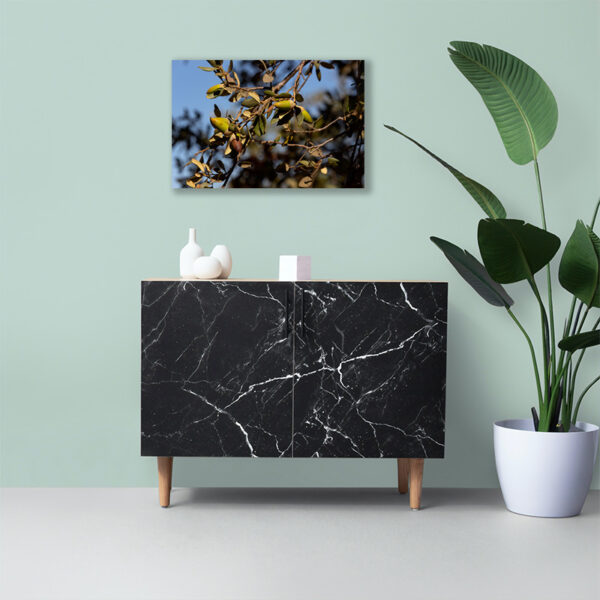 Montalvão - Foto 32