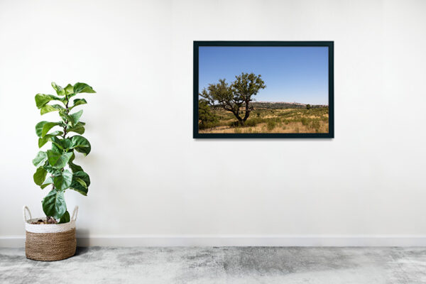 Montalvão - Foto 34