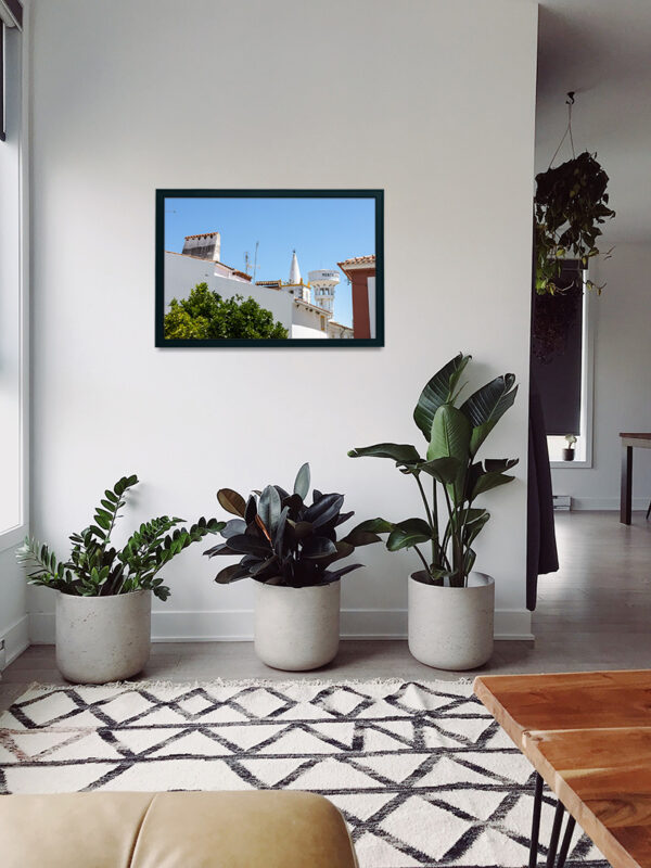 Montalvão - Foto 41