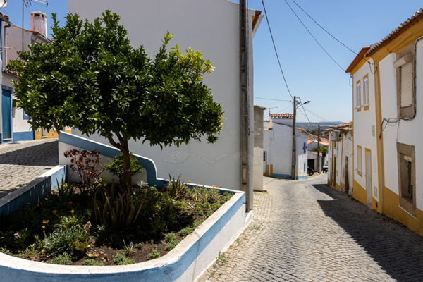 Montalvão - Foto 43