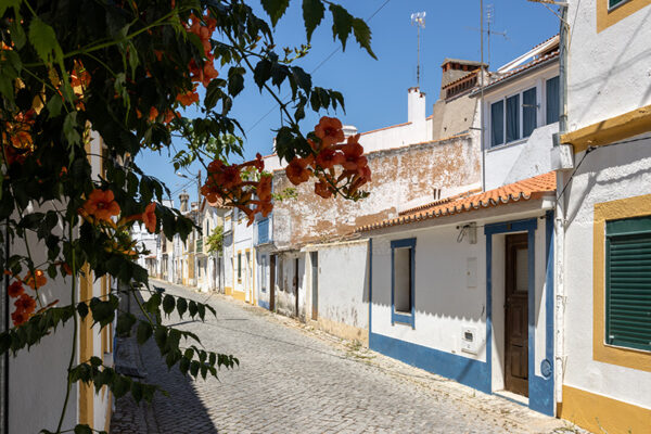 Montalvão - Foto 46