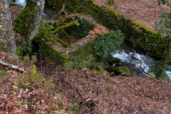 Ruínas de um Moinho de Água