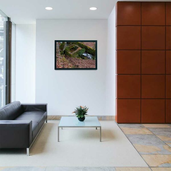 Ruínas de um Moinho de Água