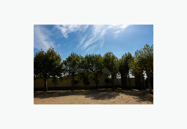 Mosteiro da Cartuxa - Foto 8