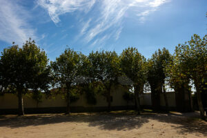 Mosteiro da Cartuxa - Foto 8