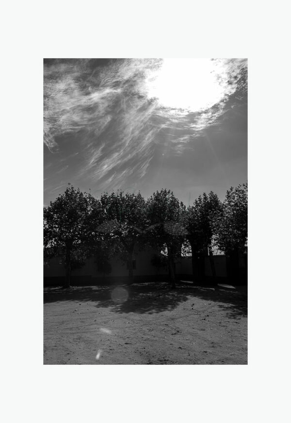 Mosteiro da Cartuxa - Foto 9