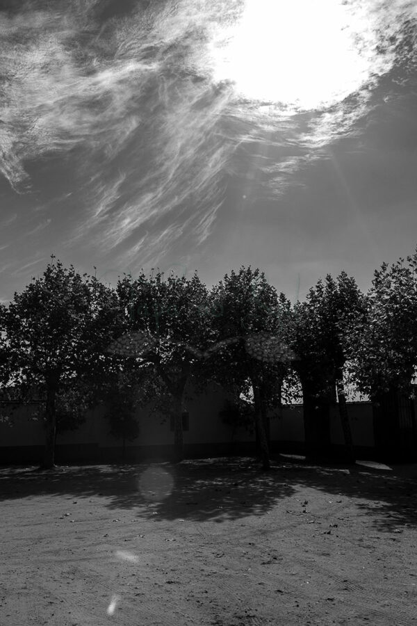 Mosteiro da Cartuxa - Foto 9