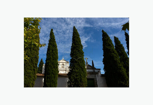 Mosteiro da Cartuxa - Foto 10