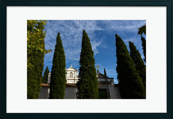 Mosteiro da Cartuxa - Foto 10