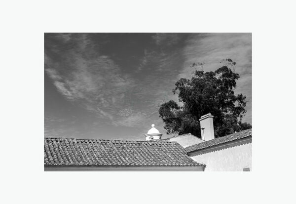 Mosteiro da Cartuxa - Foto 11