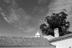 Mosteiro da Cartuxa – Foto 11
