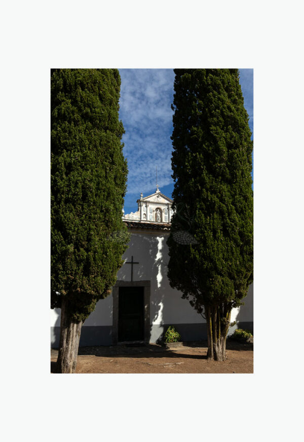 Mosteiro da Cartuxa - Foto 12