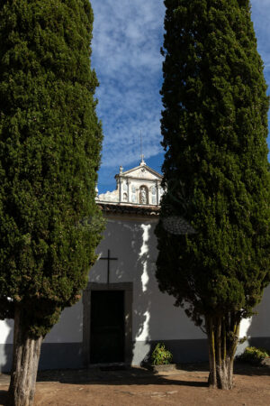 Mosteiro da Cartuxa - Foto 12