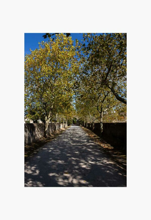 Mosteiro da Cartuxa - Foto 13