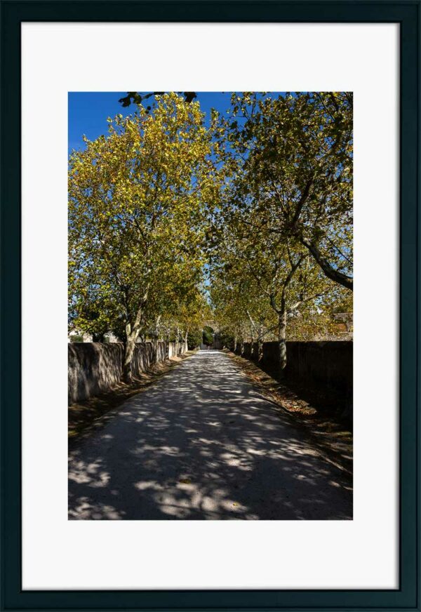 Mosteiro da Cartuxa - Foto 13