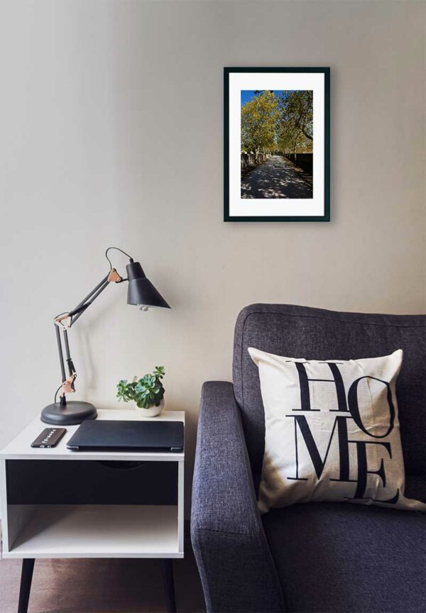 Mosteiro da Cartuxa - Foto 13