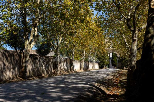 Mosteiro da Cartuxa - Foto 14