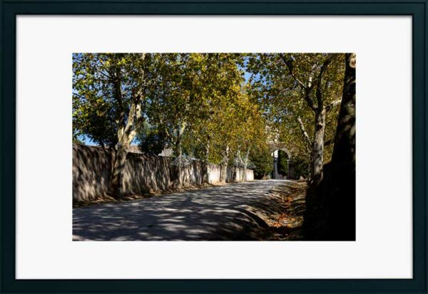 Mosteiro da Cartuxa - Foto 14