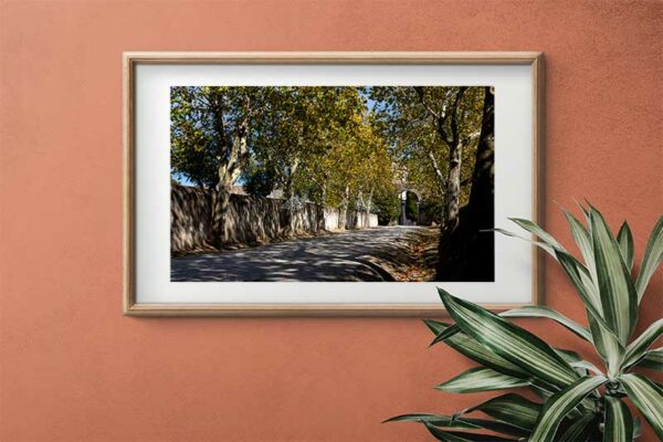 Mosteiro da Cartuxa - Foto 14