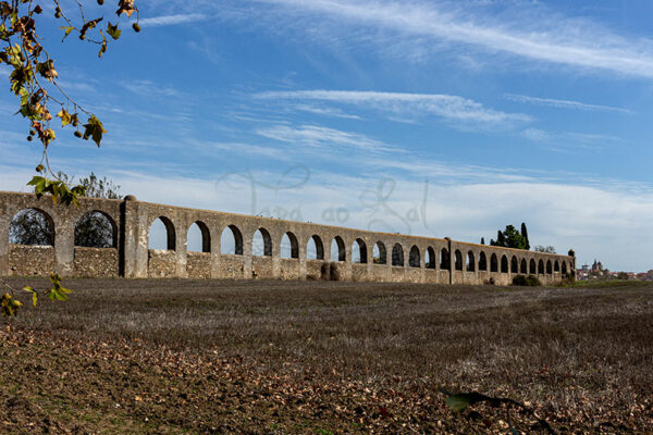 Mosteiro da Cartuxa - Foto 15