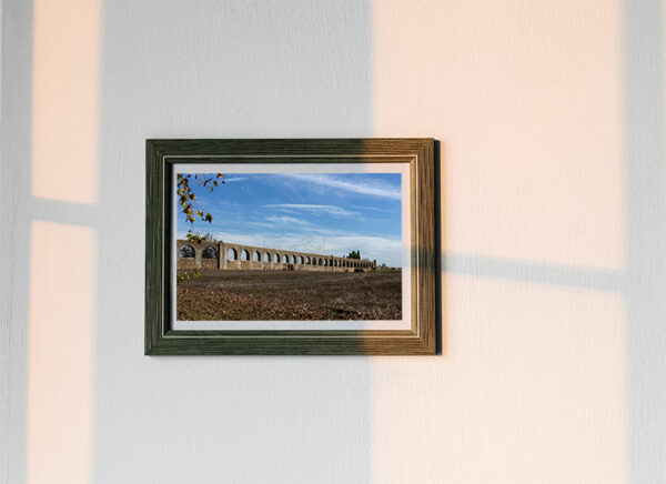 Mosteiro da Cartuxa - Foto 15