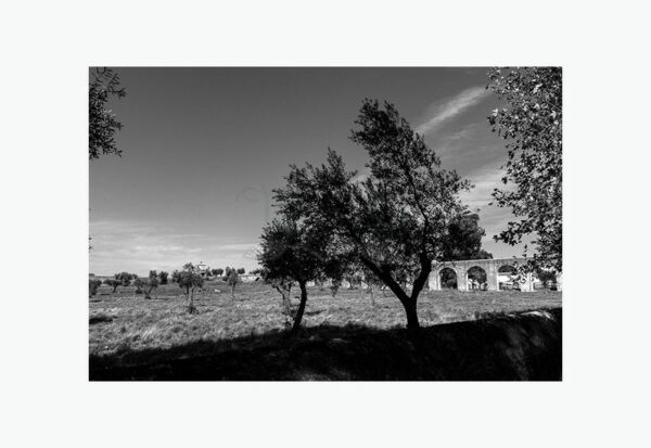 Mosteiro da Cartuxa - Foto 16