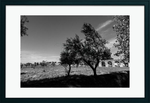 Mosteiro da Cartuxa - Foto 16