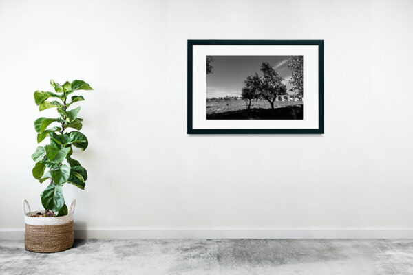 Mosteiro da Cartuxa - Foto 16