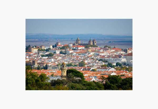 D.ALENTEJO2019_286_branco Mosteiro da Cartuxa - Foto 19