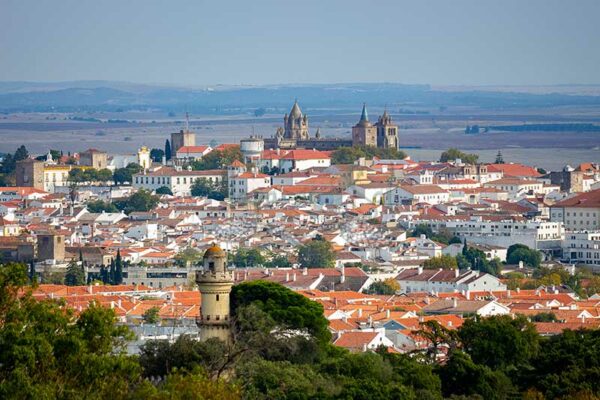D.ALENTEJO2019_286_exemplo Mosteiro da Cartuxa - Foto 19