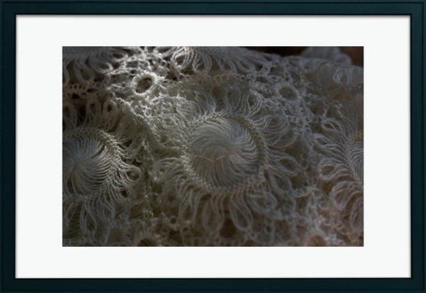 Xaile de pelo de Cabra Foto 11