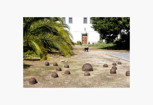 Mosteiro da Cartuxa - Foto 21